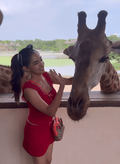 Actress Anushka Sen was seen having fun with animals